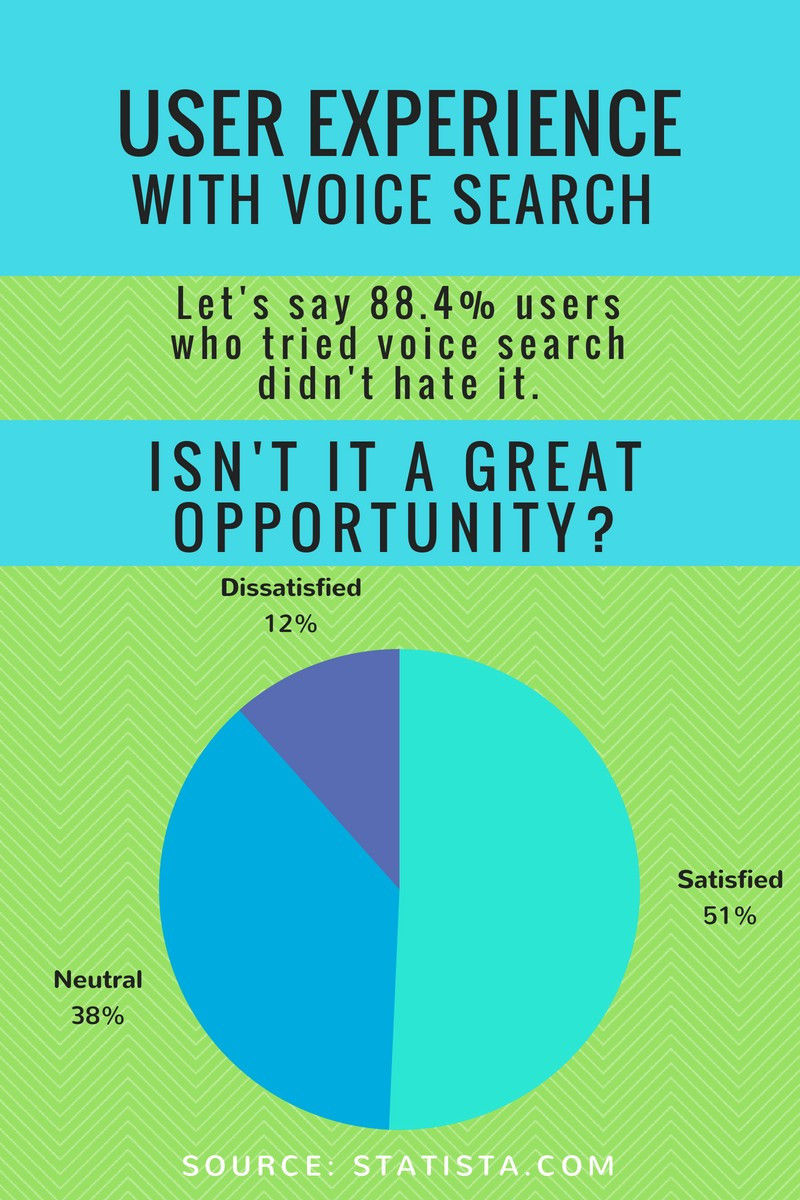 Voice search experience statistics