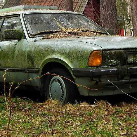 ford-164518-960-720.jpg