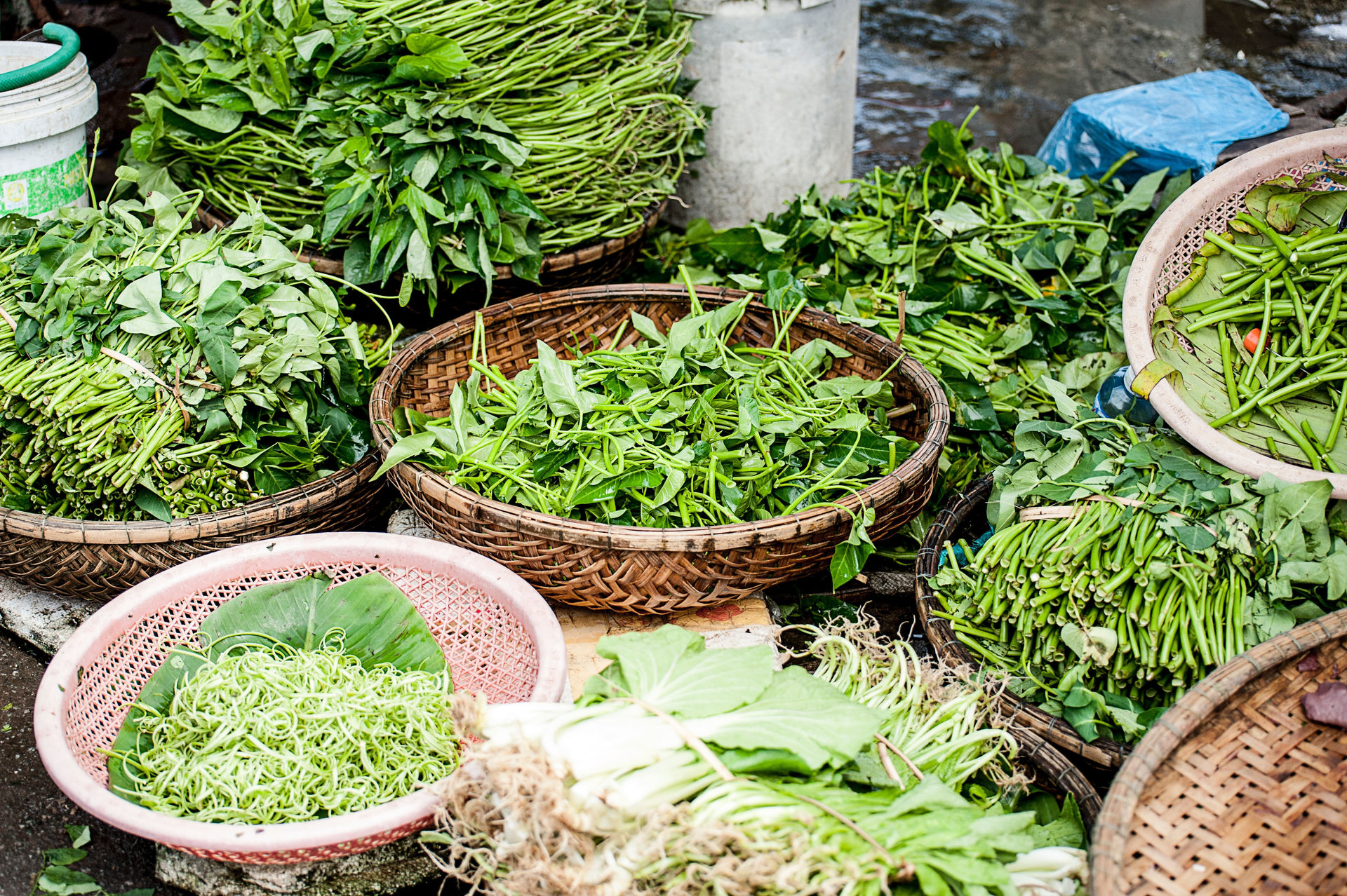 herbs-for-daily-use-farm